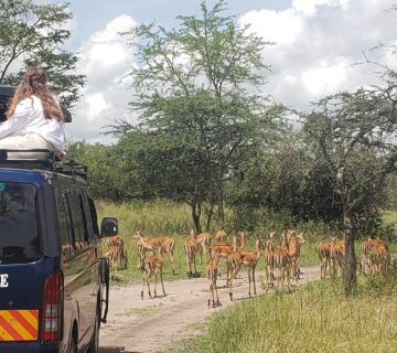 Lake Mburo Safari Packages: The Ultimate Guide to Uganda