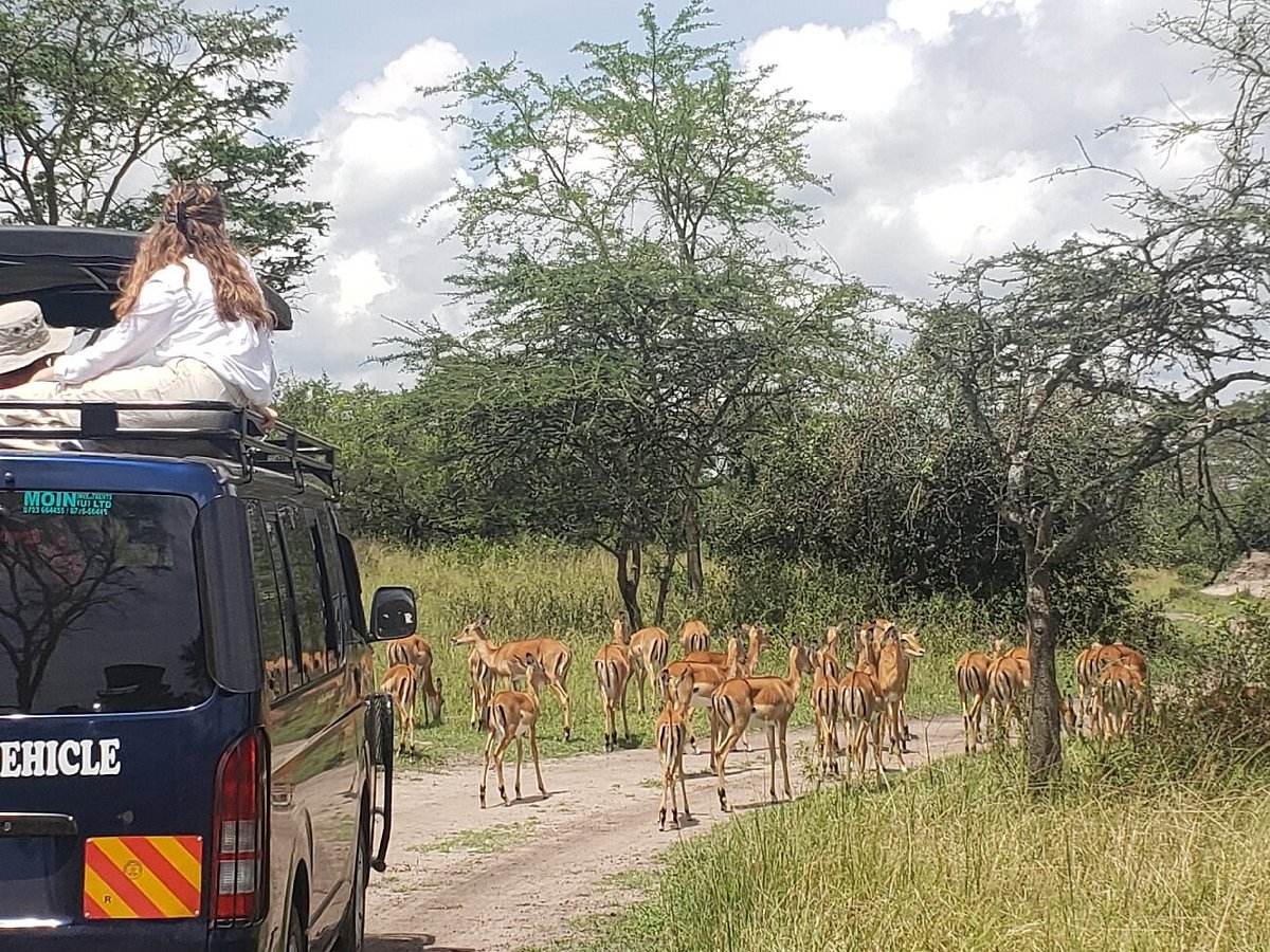 Lake Mburo Safari Packages: The Ultimate Guide to Uganda Lake Mburo Safari Packages: The Ultimate Guide to Uganda