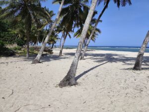 All Inclusive Safari and Zanzibar Holiday: The Ultimate All Inclusive Safari and Zanzibar Holiday: The Ultimate