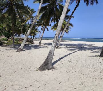 Fly In Safari &Zanzibar Package: The Ultimate Luxury