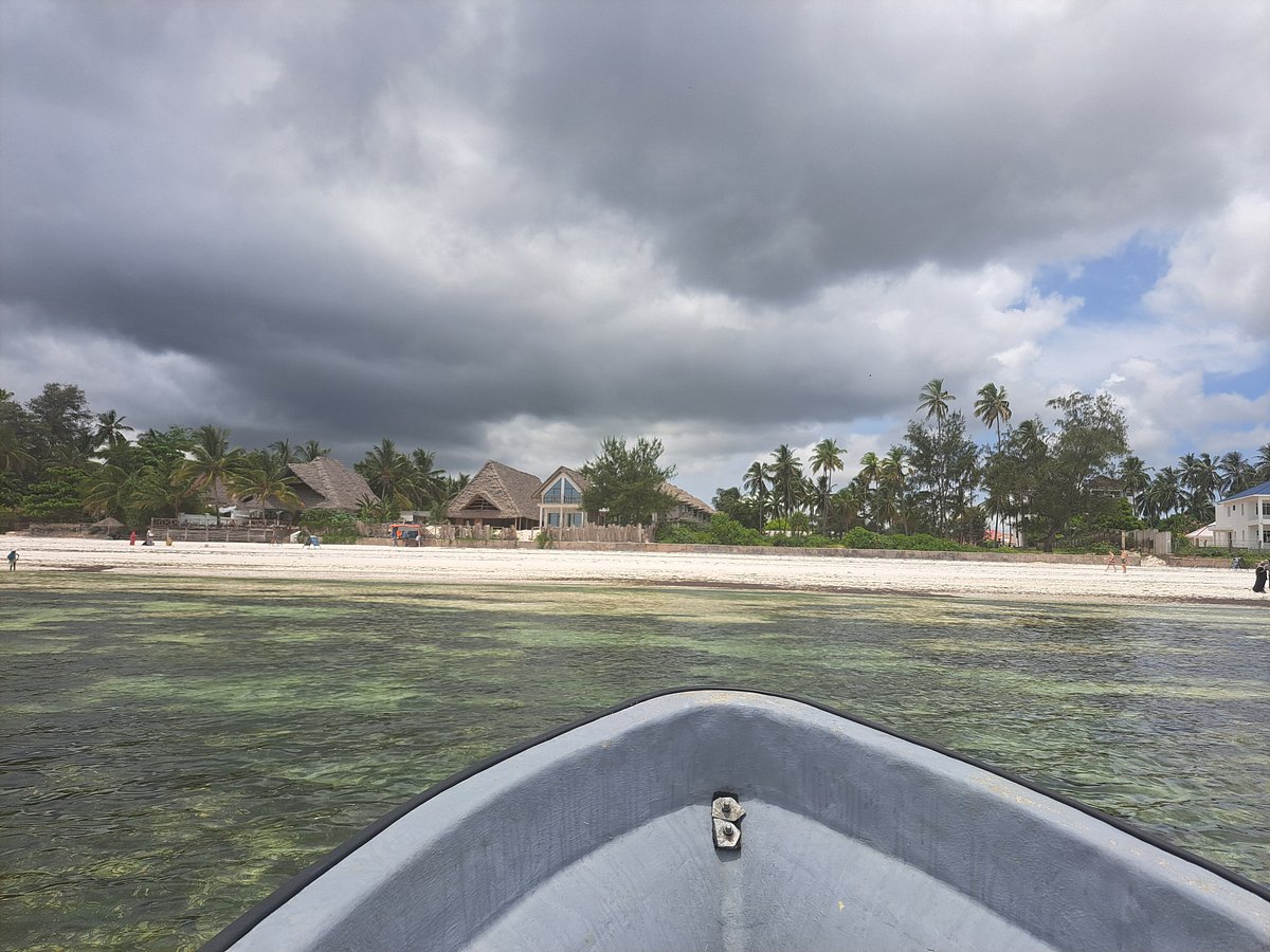 Luxury Safari and Zanzibar Beach Package: The Ultimate Luxury Safari and Zanzibar Beach Package: The Ultimate