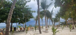 Serengeti Safari and Zanzibar Holiday: The Ultimate
