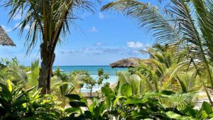 10 Day Serengeti and Zanzibar Itinerary: The Perfect 10 Day Serengeti and Zanzibar Itinerary: The Perfect