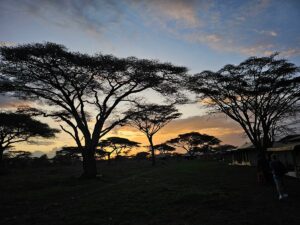 All Inclusive Safari and Zanzibar Holiday: The Ultimate All Inclusive Safari and Zanzibar Holiday: The Ultimate