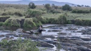 Luxury Safari from Mombasa: The Ultimate Guide Luxury Safari from Mombasa: The Ultimate Guide