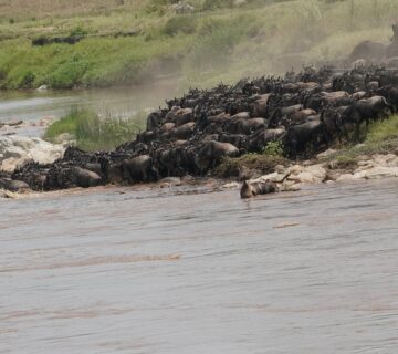 Custom Kenya Safari Itinerary: Design the Perfect