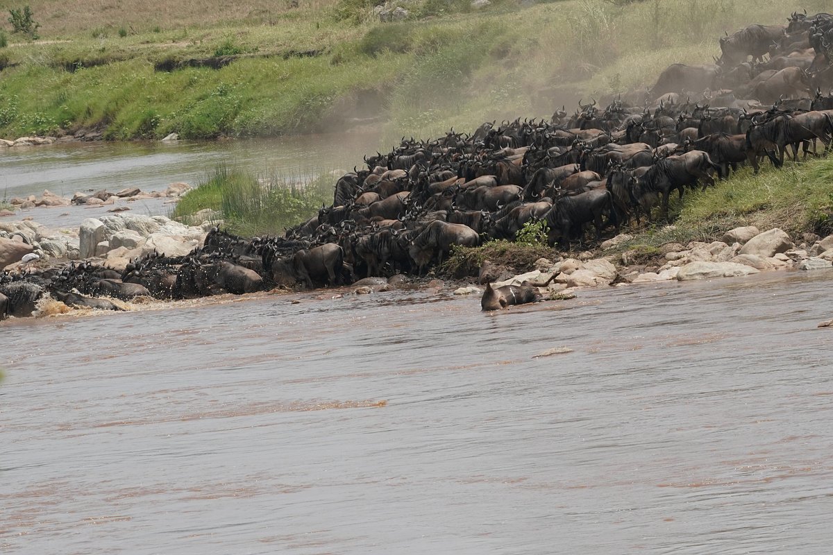 Custom Kenya Safari Itinerary: Design the Perfect Custom Kenya Safari Itinerary: Design the Perfect