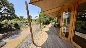 Top Rated Safari Itineraries: The Ultimate Guide to Africa Top Rated Safari Itineraries: The Ultimate Guide to Africa
