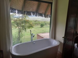 Eco Friendly Safari Lodges in Kenya: Sustainable Luxury Eco Friendly Safari Lodges in Kenya: Sustainable Luxury