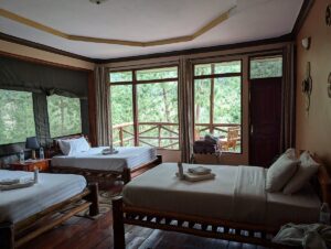 Compare Gorilla Trekking Packages: The Ultimate Guide Compare Gorilla Trekking Packages: The Ultimate Guide