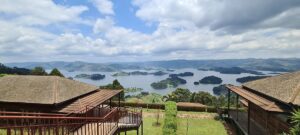 Compare Gorilla Trekking Packages: The Ultimate Guide Compare Gorilla Trekking Packages: The Ultimate Guide
