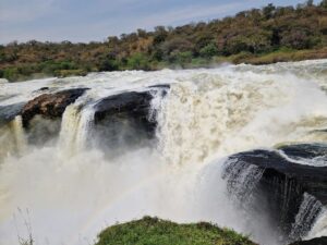 Fly-In Safari Murchison Falls: The Ultimate Luxury Uganda Fly-In Safari Murchison Falls: The Ultimate Luxury Uganda