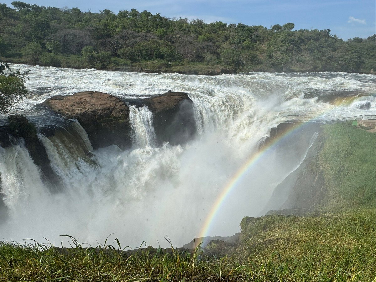 Compare Uganda Safari Packages: The Ultimate Guide Compare Uganda Safari Packages: The Ultimate Guide