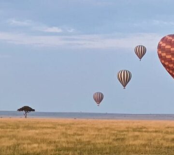 Luxury Masai Mara Safari Packages: The Ultimate Guide