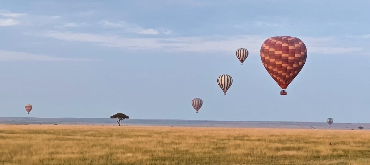 Luxury Masai Mara Safari Packages: The Ultimate Guide