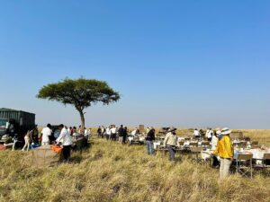 Luxury Masai Mara Safari Packages: The Ultimate Guide