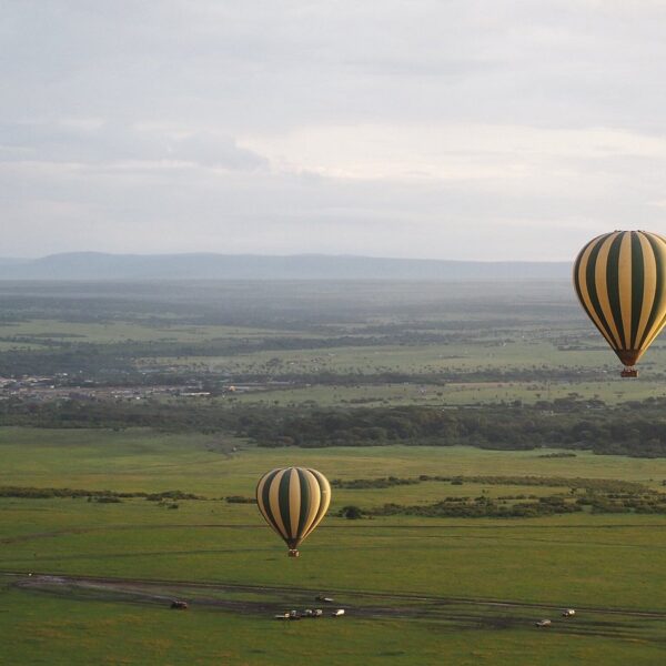 gorilla trekking Luxury Big Five Safari Deals: The Conclusive 2026 Guide