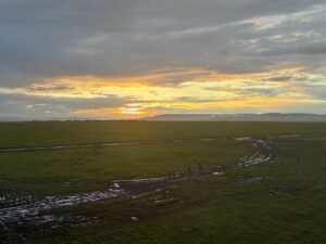 Masai Mara Hot Air Balloon Safari: The Exclusive Sunrise Masai Mara Hot Air Balloon Safari: The Exclusive Sunrise