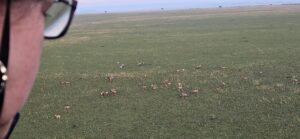 Masai Mara Hot Air Balloon Safari: The Exclusive Sunrise Masai Mara Hot Air Balloon Safari: The Exclusive Sunrise