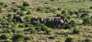 Custom Kenya Safari Itinerary: Design the Perfect Custom Kenya Safari Itinerary: Design the Perfect