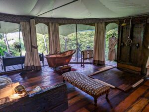 Masai Mara Luxury Tented Camp Booking: The Best Guide Masai Mara Luxury Tented Camp Booking: The Best Guide