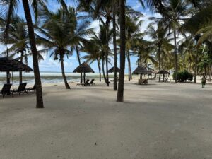 Serengeti Safari Packages with Zanzibar: The Top Rated Serengeti Safari Packages with Zanzibar: The Top Rated