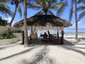 Affordable Serengeti Safari Packages: How to Experience Affordable Serengeti Safari Packages: How to Experience