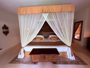 Serengeti Safari Packages with Zanzibar: The Top Rated Serengeti Safari Packages with Zanzibar: The Top Rated