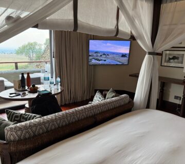 Serengeti Safari Cost for Couples: The Complete Guide