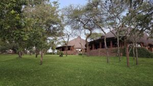 Family Serengeti Safari Packages: The Conclusive Tanzania Family Serengeti Safari Packages: The Conclusive Tanzania