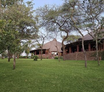All Inclusive Serengeti Safari Packages: The Complete Guide