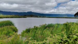Ngorongoro Crater Safari from Arusha: The Best Guide Ngorongoro Crater Safari from Arusha: The Best Guide