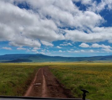 1 Day Ngorongoro Crater Tour: The Ultimate Big Five Safari