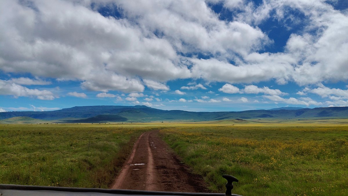 1 Day Ngorongoro Crater Tour: The Ultimate Big Five Safari 1 Day Ngorongoro Crater Tour: The Ultimate Big Five Safari