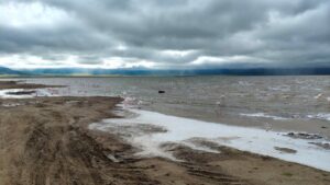 1 Day Ngorongoro Crater Tour: The Ultimate Big Five Safari 1 Day Ngorongoro Crater Tour: The Ultimate Big Five Safari