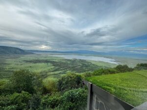 Ngorongoro Crater Safari Cost Per Person: Complete 2026 Ngorongoro Crater Safari Cost Per Person: Complete 2026