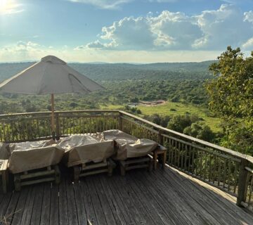 Luxury Lake Mburo Safari Lodge: The Ultimate Guide