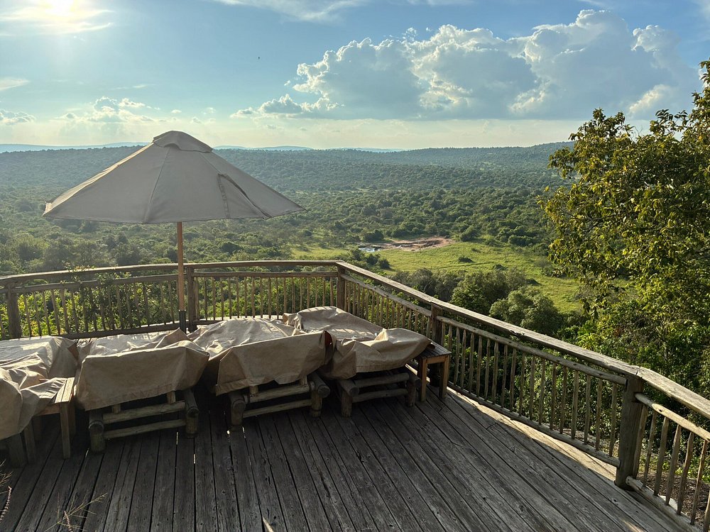 Luxury Lake Mburo Safari Lodge: The Ultimate Guide Luxury Lake Mburo Safari Lodge: The Ultimate Guide