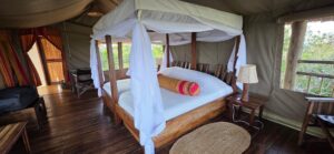 Luxury Lake Mburo Safari Lodge: The Ultimate Guide Luxury Lake Mburo Safari Lodge: The Ultimate Guide