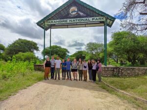 Tarangire Safari Packages: The Perfect Guide to Tanzania Tarangire Safari Packages: The Perfect Guide to Tanzania