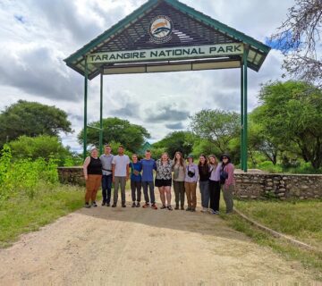 Family Safari Tarangire National Park: The Conclusive