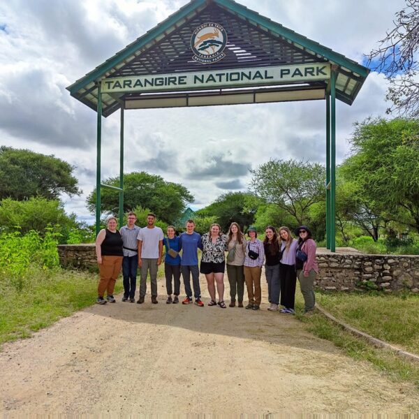 gorilla trekking Family Safari Tarangire National Park: The Conclusive