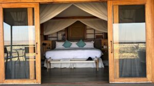 Best Lodges in Tarangire: 15 Incredible Safari Lodges Best Lodges in Tarangire: 15 Incredible Safari Lodges