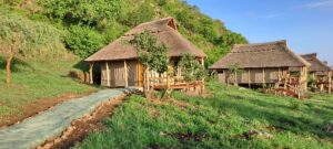 Best Lodges in Tarangire: 15 Incredible Safari Lodges Best Lodges in Tarangire: 15 Incredible Safari Lodges