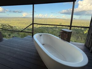 Tarangire Safari Packages from Arusha: The Ultimate Guide Tarangire Safari Packages from Arusha: The Ultimate Guide