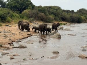 10 Reasons Lake Manyara Is Tanzania Most Underrated 10 Reasons Lake Manyara Is Tanzania Most Underrated