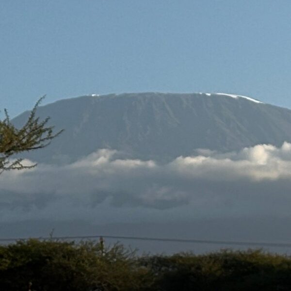 gorilla trekking Kilimanjaro Hiking Packages: The Ultimate 2026 Guide