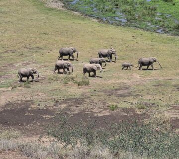 How to Book an Amboseli Safari Without Overpaying: