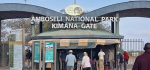 How to Book an Amboseli Safari Without Overpaying: How to Book an Amboseli Safari Without Overpaying: