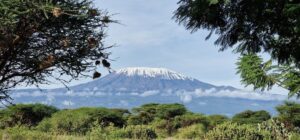 How to Book an Amboseli Safari Without Overpaying: How to Book an Amboseli Safari Without Overpaying:
